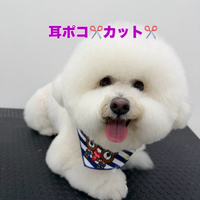 画像432