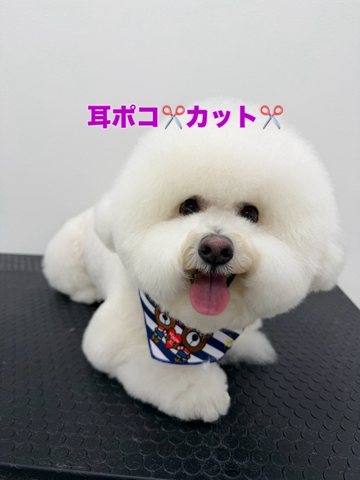 画像432
