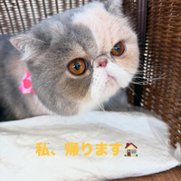 画像437