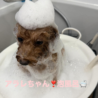 画像439