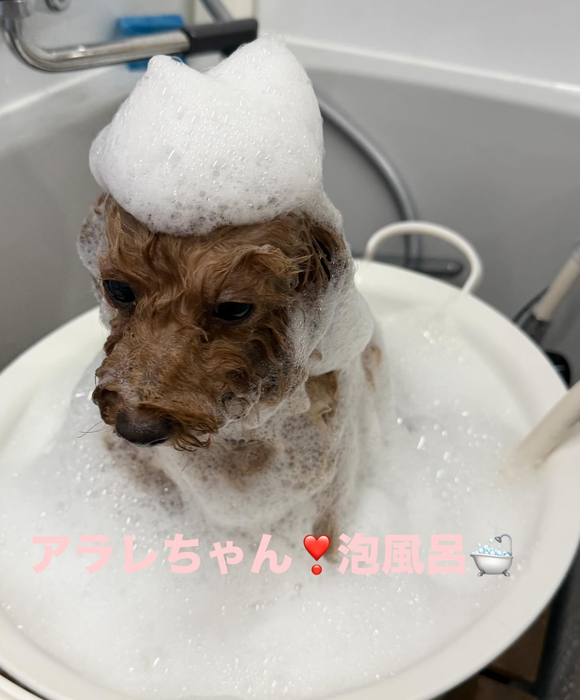 画像439