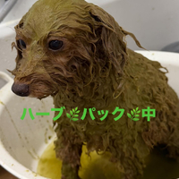 画像440
