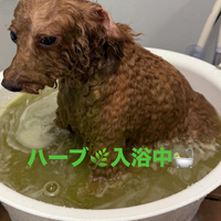 画像441