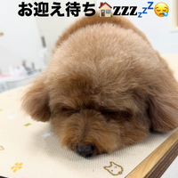 画像443