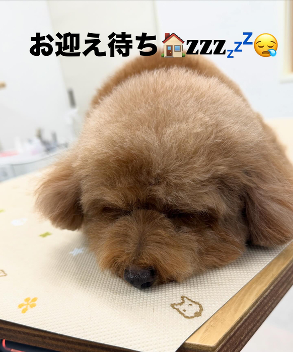 画像443