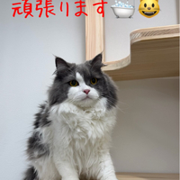 画像446