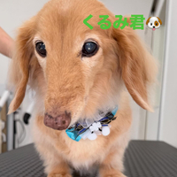 画像449