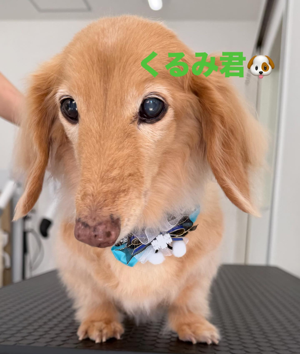 画像449