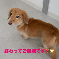 画像451