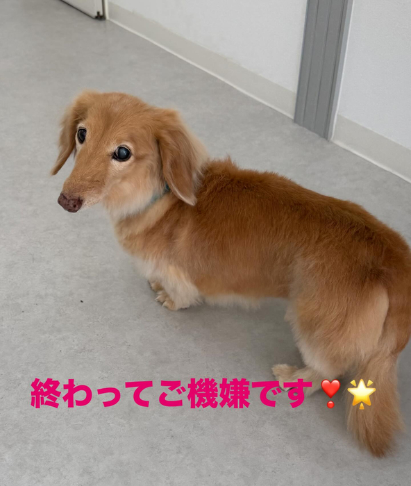 画像451