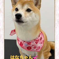 画像453