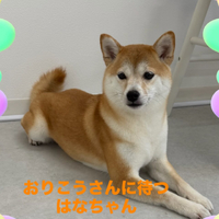 画像455