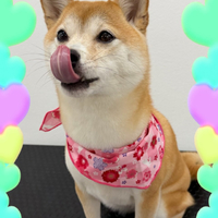 画像456