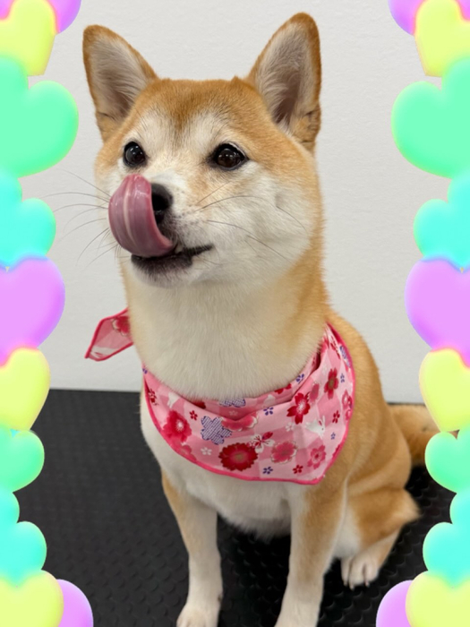 画像456