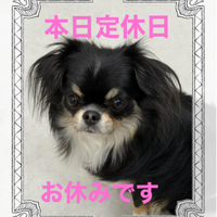 画像466