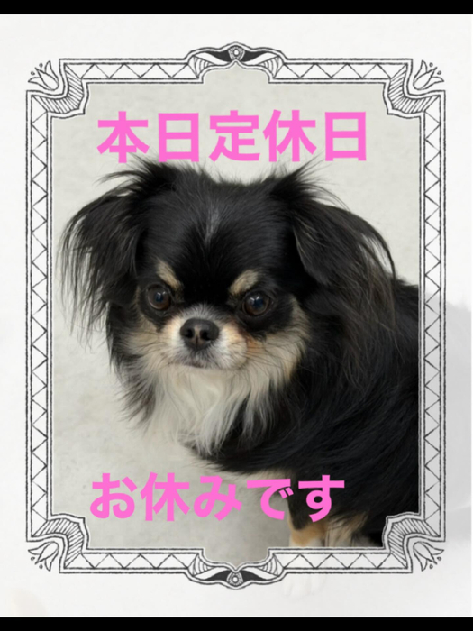 画像466