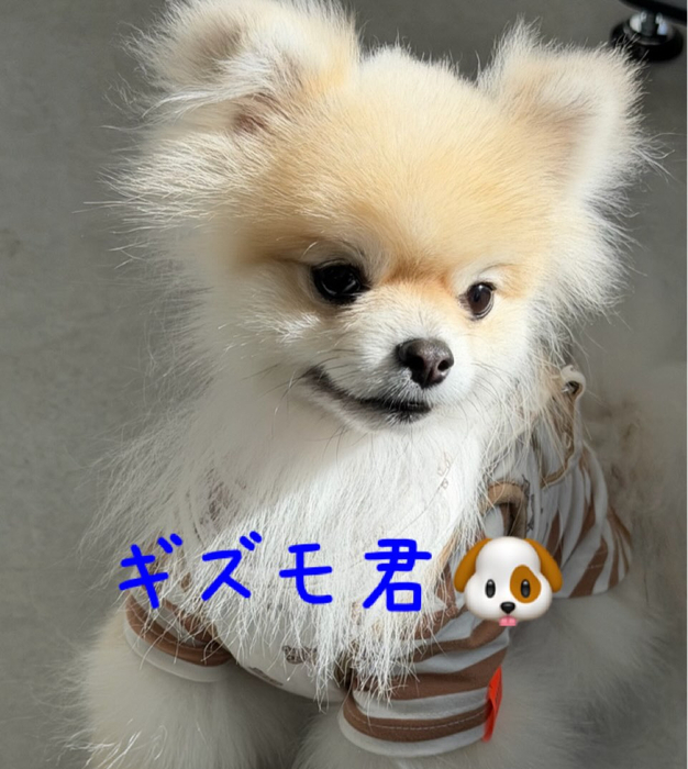 画像469