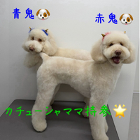 画像472
