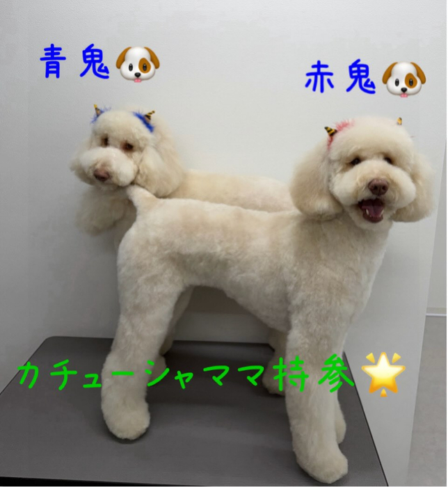 画像472