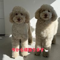 画像473