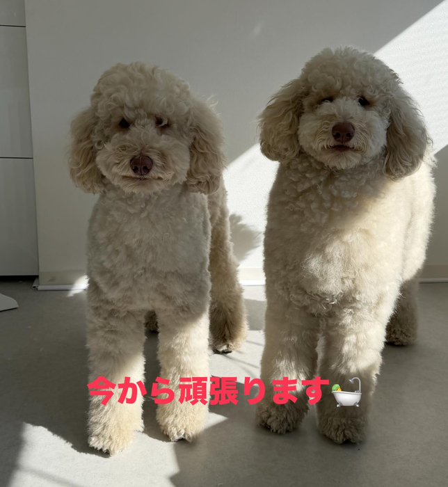 画像473