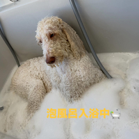 画像474
