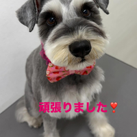 画像482