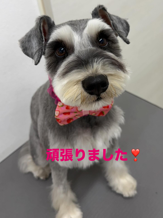 画像482
