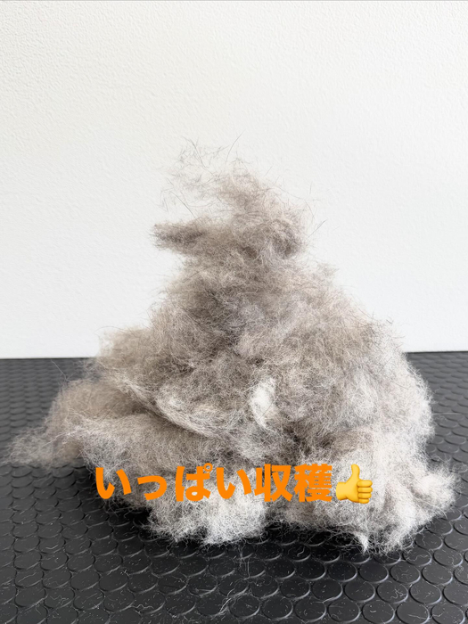 画像486