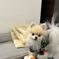 画像490