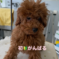 画像493