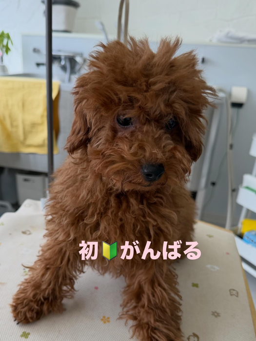 画像493