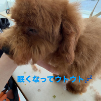 画像495