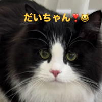 画像505