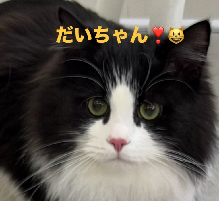 画像505