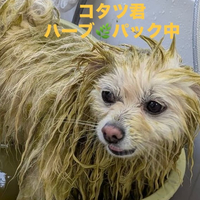 画像512