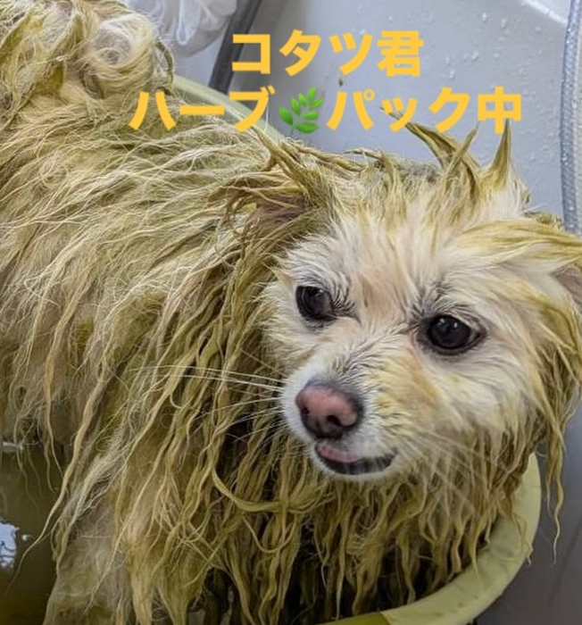 画像512