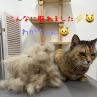 画像520