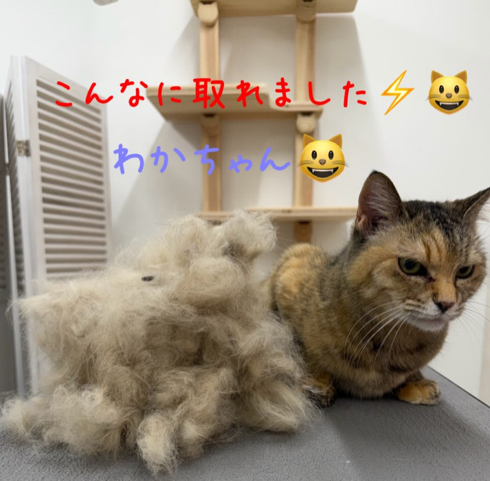 画像520