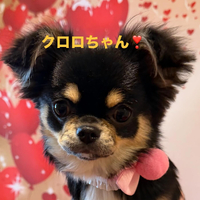 画像528