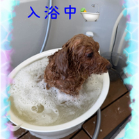 画像558