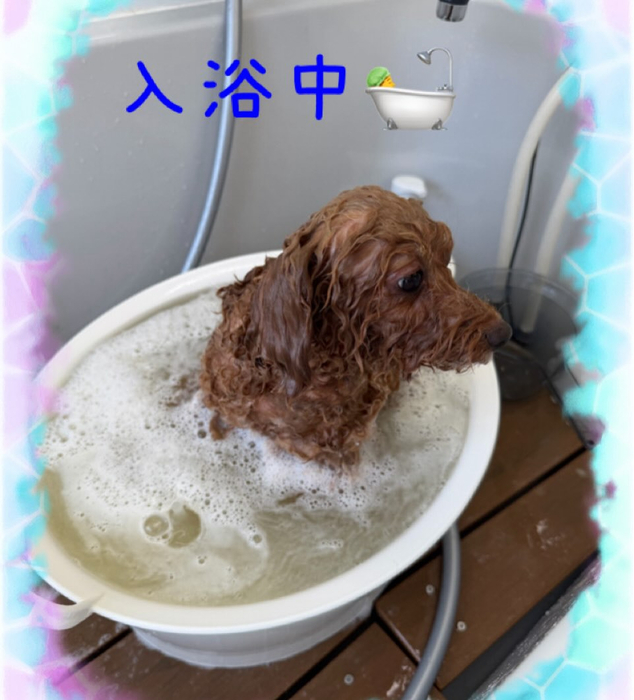 画像558