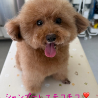 画像559