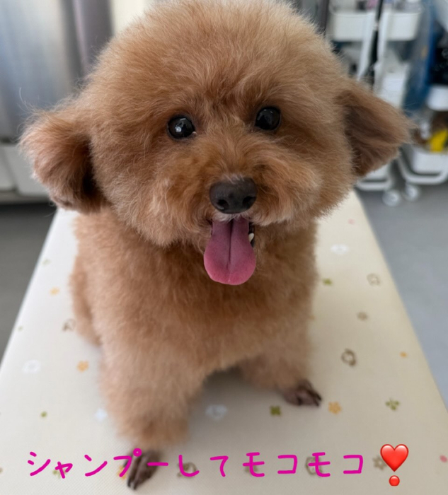 画像559