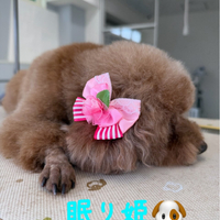 画像560