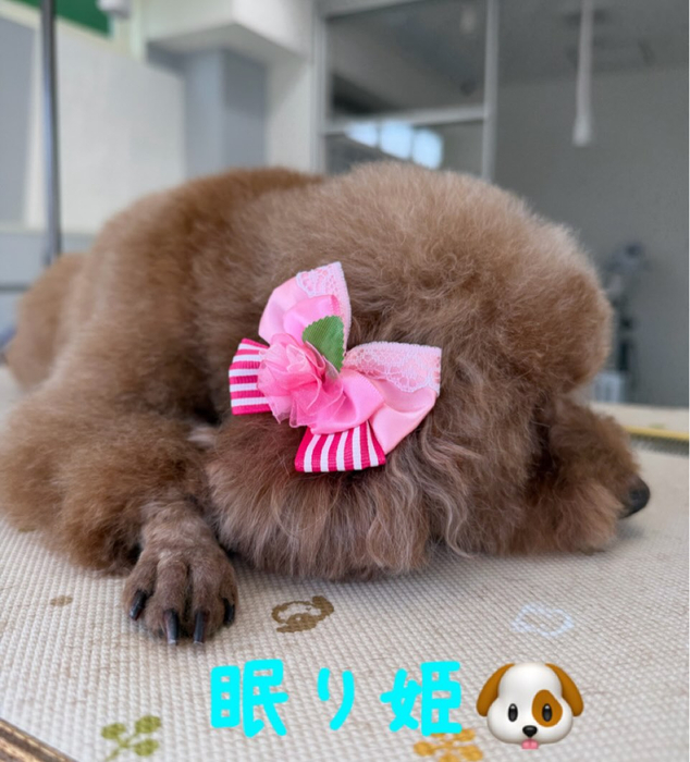画像560