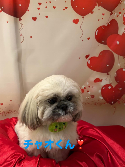 画像565