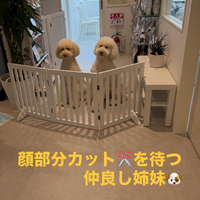 画像568