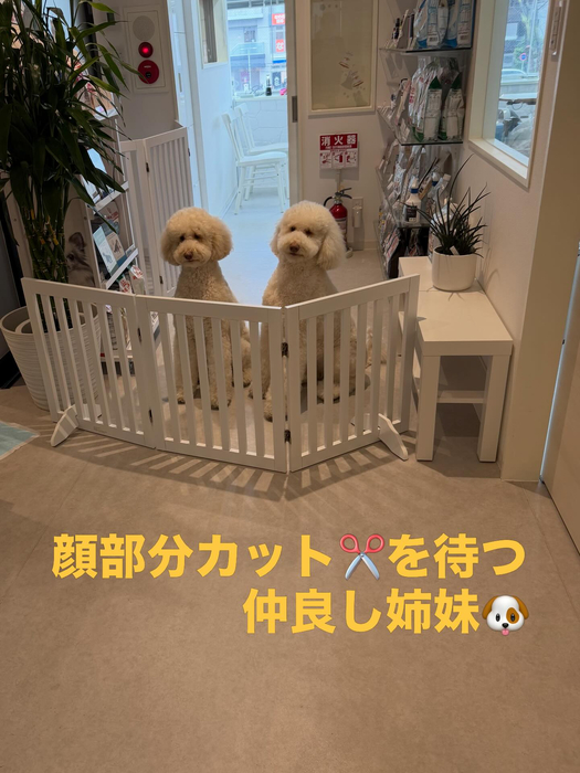 画像568