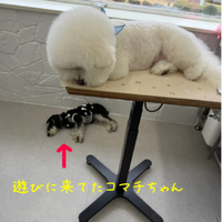 画像571